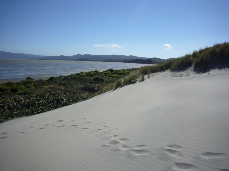 Travel - New Zealand - North West and Farewell Spit